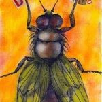 Desperadoflies - kik username