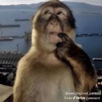 Liam - snapchat username