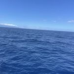 Abbie - kik username