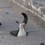 Rachie13579 - kik username