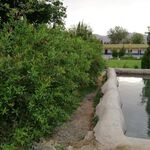 Qayoum  - instagram username