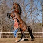 million - snapchat username