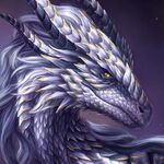 Sammy - kik username