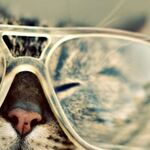 94ur4v - kik username