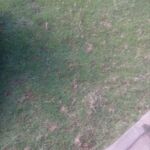 Barnaba - instagram username