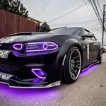 Max77 - kik username