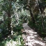 Daddy - twitter username