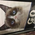 riderdd33 - snapchat username