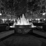 Tyler Harington - snapchat username