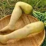 Ankit - instagram username