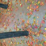 Hello - kik username