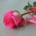 Shaurya  - kik username