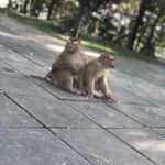 harry199 - snapchat username