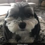 Trevor Elias - snapchat username