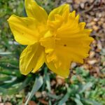 Sean - snapchat username