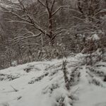 scoutmanjr99 - snapchat username