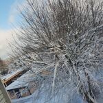 Admir12 - snapchat username