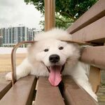 BeeZ3 - snapchat username