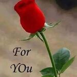 Hamayoon - kik username