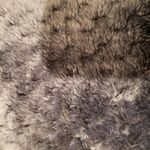 Hurley - snapchat username