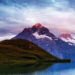 Moo17 - kik username