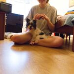 Tiffanycake097 - kik username