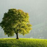 emreuysal.21 - snapchat username