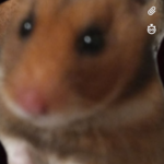 Jules - snapchat username