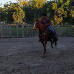 aunknowngoat - snapchat username