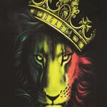 CaliLiving - kik username