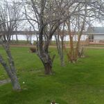 Jayjay - kik username