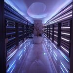 Bill - instagram username