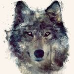 Rana_sahaab008 - kik username