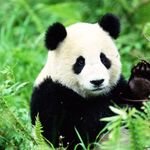 James242017 - kik username