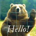 Jameydodger - kik username