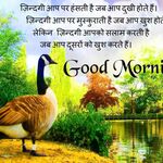 Krishna Kumar - kik username