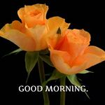 Anandhi - instagram username