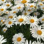 Melissa7694 - snapchat username