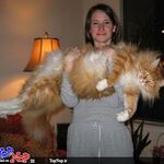 Ali khan - instagram username