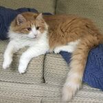 Matt - instagram username