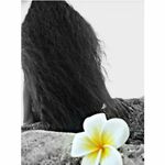 loulou-shi - instagram username