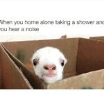 Ustxydgwh - snapchat username