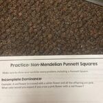 Chase - kik username