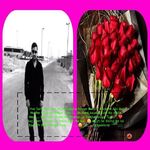 Khan  - kik username