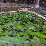 Prasath - kik username