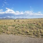 Tyler MacDuff - snapchat username