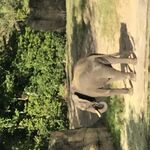 Ahshxhd - snapchat username