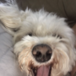 Ally630123 - snapchat username