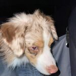 Maryraee - kik username