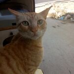 Mubens - kik username